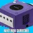Nintendo Gamecube-avatar