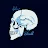 Blue Skull-avatar