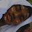 Kingsley Egbe-avatar