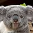 Hyper Koala-avatar
