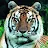 Tiger Girl-avatar