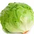 Lettuce-avatar