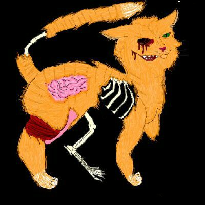 CrazyCatLady