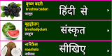 screenshot of Learn Sanskrit From Hindi