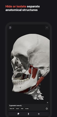 Skull, Teeth & TMJのおすすめ画像3