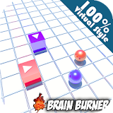 800+ Brain Burner Puzzle icon
