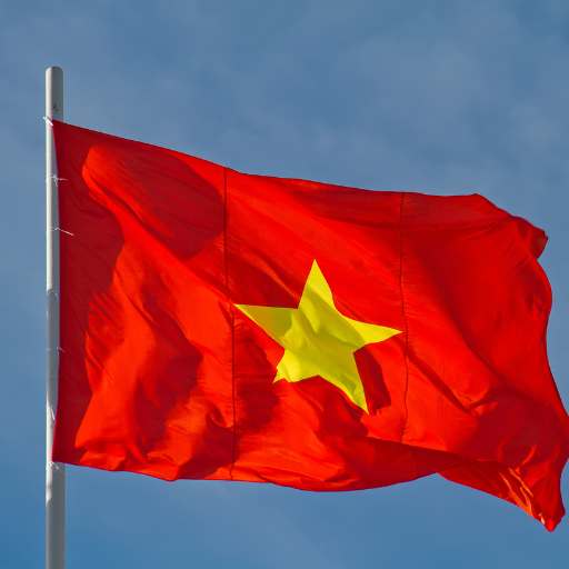 Vietnam flag logo