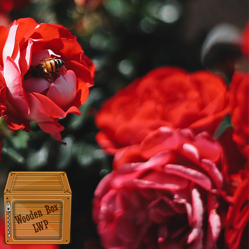 red rose garden wallpaper logo
