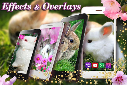 Captura de Pantalla 6 Funny Bunnies Live Wallpaper android