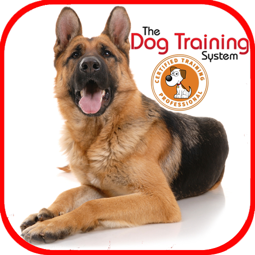 Dog Training 3.0 Icon