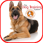 Dog Training