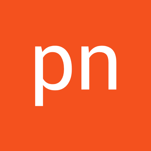 pn modi