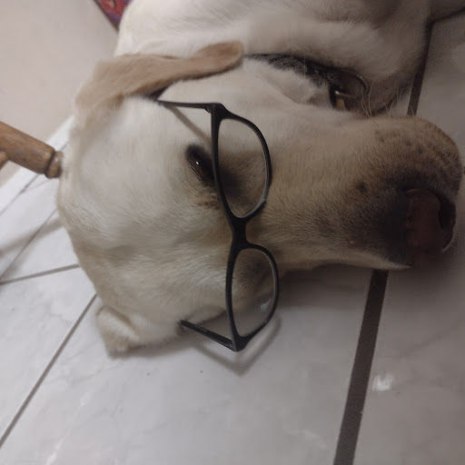 author