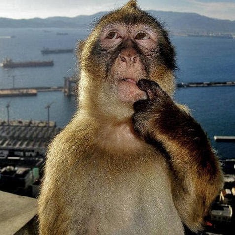 Heriberto Floresgonzalez