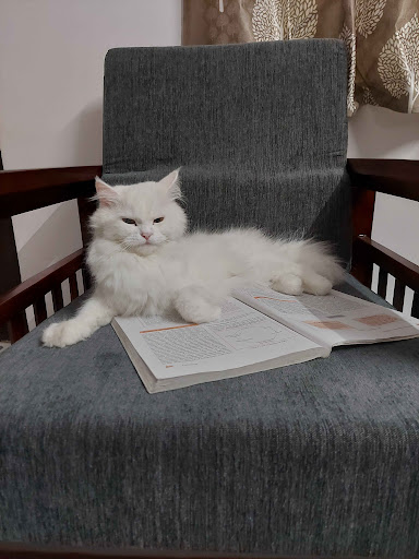 author