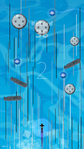 Beluga whale - Orca hunting