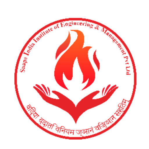 Snape India Pvt Ltd logo