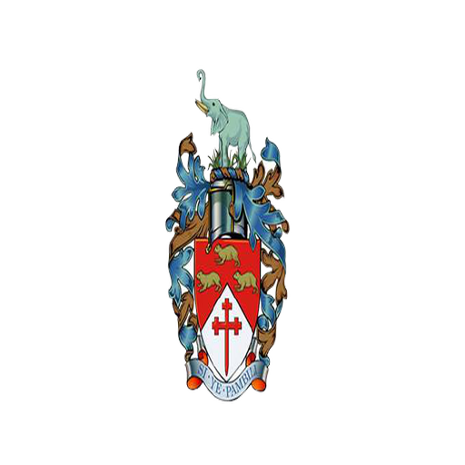 CITY OF BULAWAYO logo