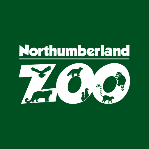 Northumberland Zoo Download on Windows