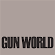 Gun World Download on Windows