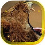 Lions African live wallpaper icon
