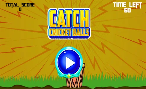 Catch Cricket Ball