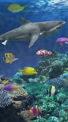 サメの水族館ライブ壁紙 Androidアプリ Applion