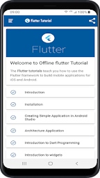 Flutter Tutorial - Offline with flutter examples