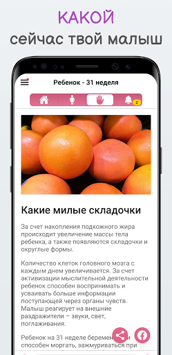 Беременность по неделям KLO Screen 3