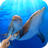 Water Effect: Dolphins icon