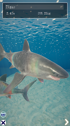Shark Ocean - Screenshot 3