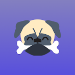 Guinea Pug