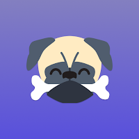 Guinea Pug