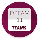 pro tips dream11 icon