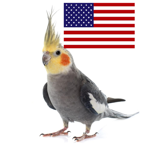 Anthem U.S Cockatiel logo