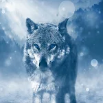 Cover Image of Download Wolf wallpaper  APK