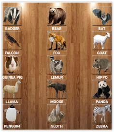 Animal Pocket Zoo - Screenshot 3
