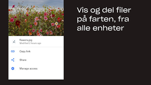 Skjermbilde