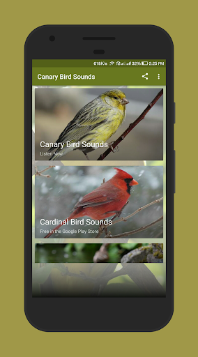 Android application Canary Bird Sounds screenshort