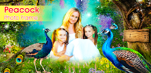 Peacock Photo Frames Garnish APK