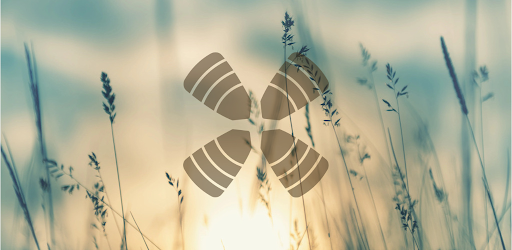 Daily Audio Bible Mobile App