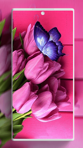 Screenshot of Tulip Wallpaper