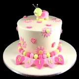 Birthday Cake Designs icon