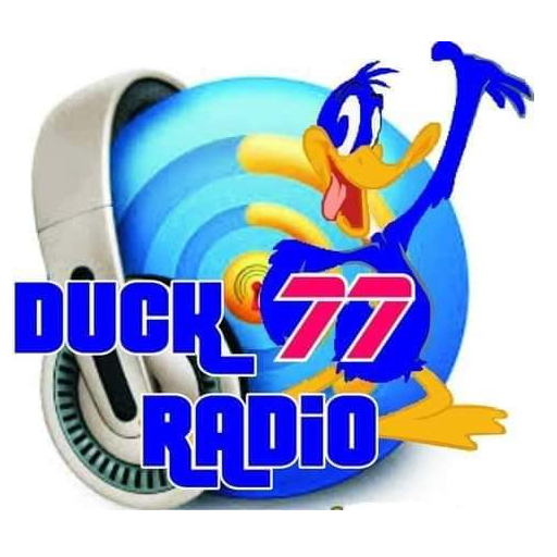 Unlocking the Secrets of Duck77