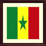 TV Senegal Info channel icon