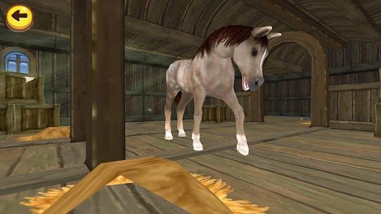 Horse Quest 7