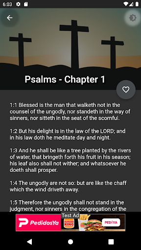 Psalms and Proverbs Screen 3