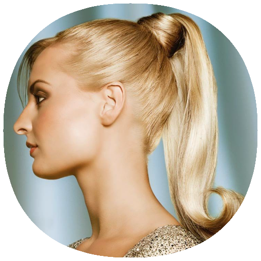 Ponytails Hairstyles Guide Download on Windows