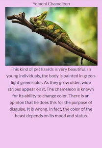 Types of Lizards