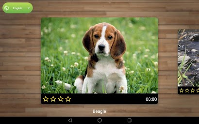 Dog Puzzle Games